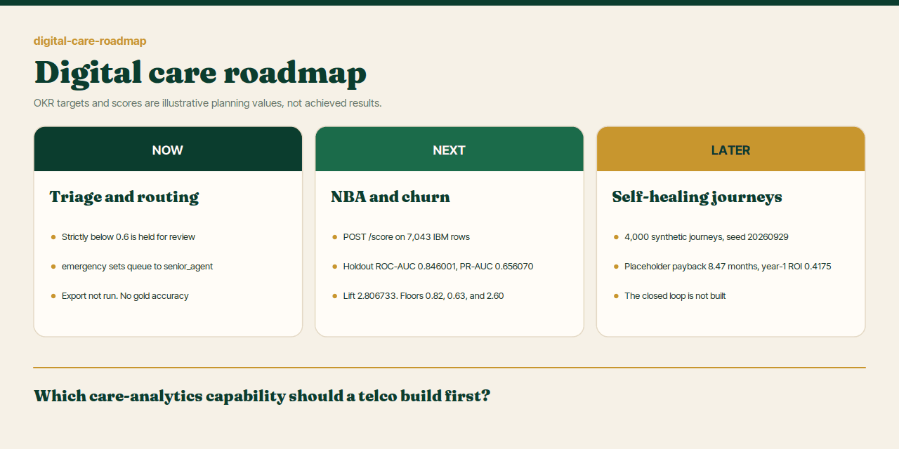 Social preview for digital-care-roadmap